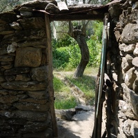 Photo de Turquie - La région de Didim